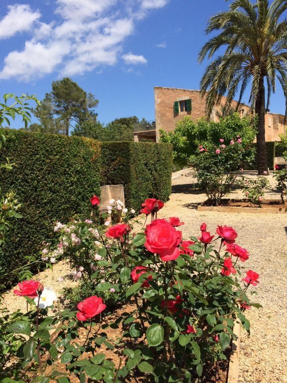 Casa Rural Son Bernadinet Campos  Bagian luar foto